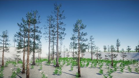 Unity Pine Trees // Unity Asset