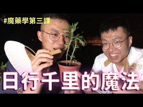 學習用艾草讓你日行千里【魔藥學第三課】｜什麼意思｜