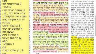 הדף היומי בבא בתרא דף קנ״ט 159 ששי ו תמוז תשע״ז