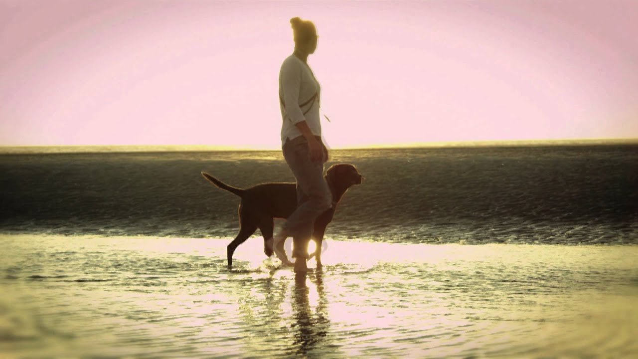 Seattle Marijuana Growers | Video Production Company