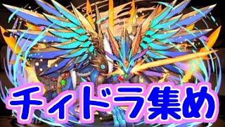 【生放送】裏三針周回してチィドラ集める！！！！！！【パズドラ】