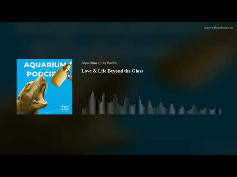Aquarium of the Podcific: Interview with Director Chris Stanford