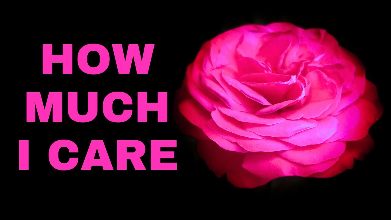 My Devotion To You 💖 (Romantic Love Poem)