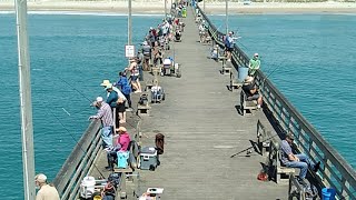4-21-23 - Live Fishing Report- Seaview Fishing Pier