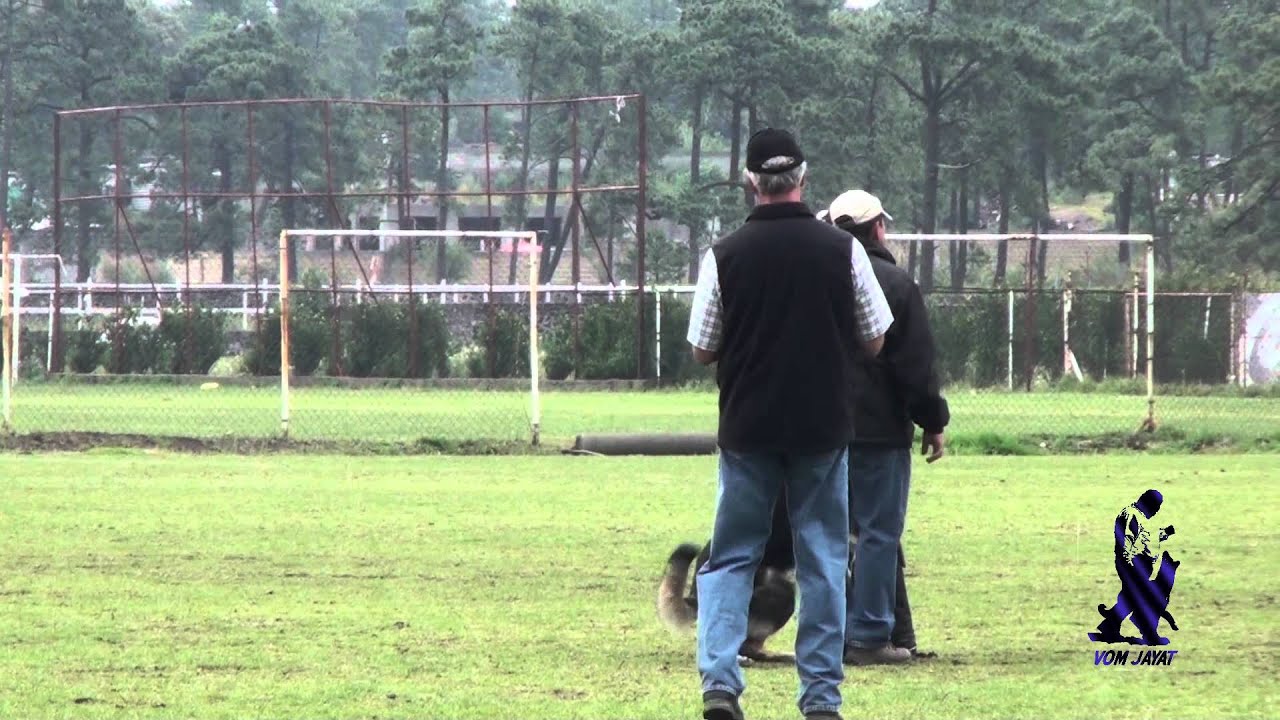 video phone beyonce mp3 Camp. Nac. de Trab. CCMPA 2011, Jabina Orry -C