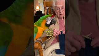 Parrot Roasts Grandma About Her Age#shortvideo#youtub