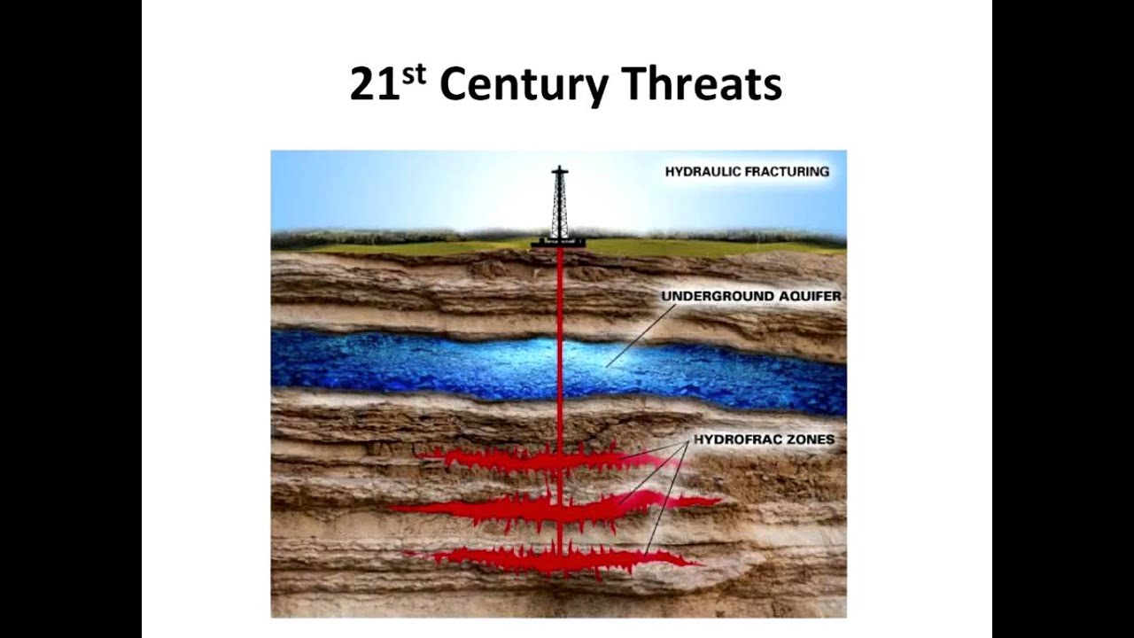 Conservation and Management of Declining Bat Populations in Eastern Forests