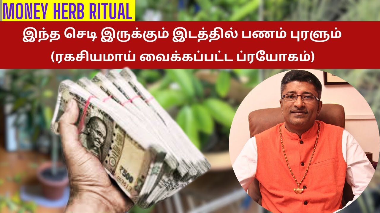வீட்டில் இந்த செடி இருந்தால் பணம் புரளும் MONEY TREE Vamanan Seshadri