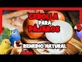 CEBOLLA para CANARIOS y PAJAROS EXOTICOS 🐤 REMEDIOS NATURALES para la CRIA de CANARIOS y JILGUEROS