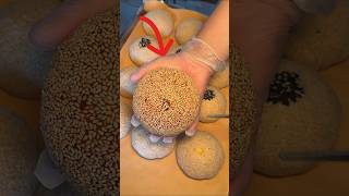 This Giant Sesame Ball Has A Cheesy Secret