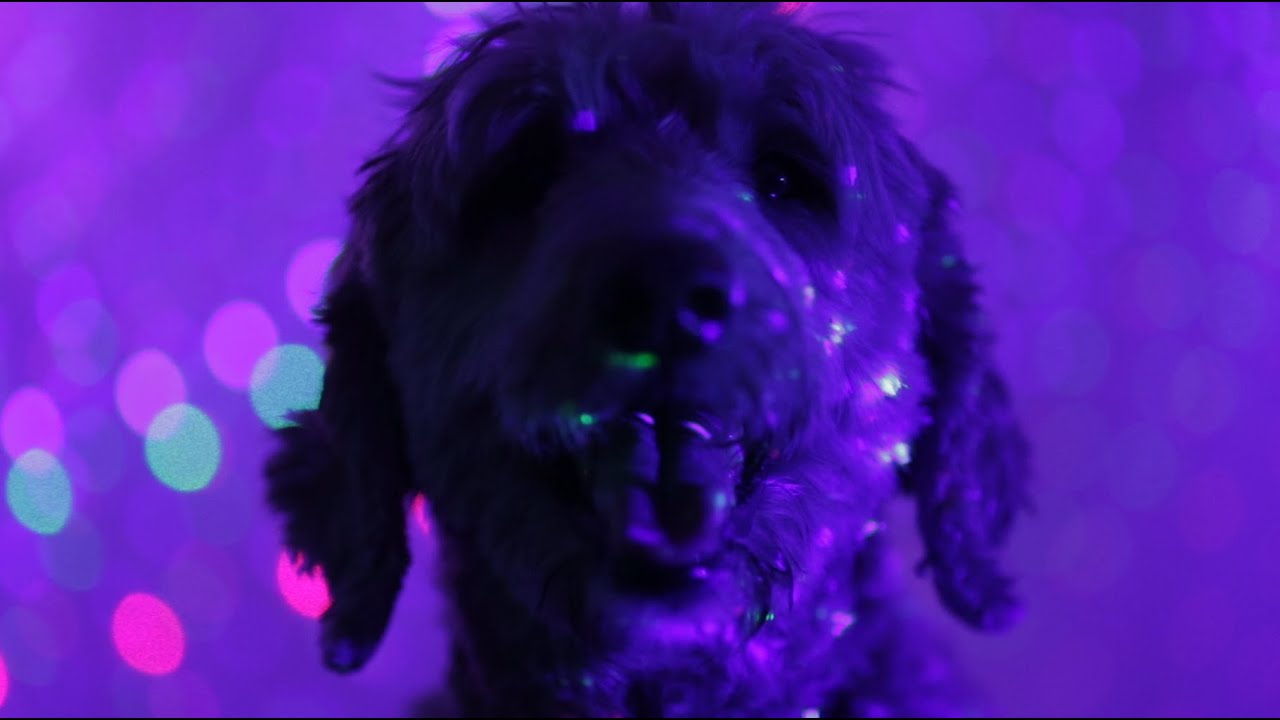 The Highest Order ~ Warm Front