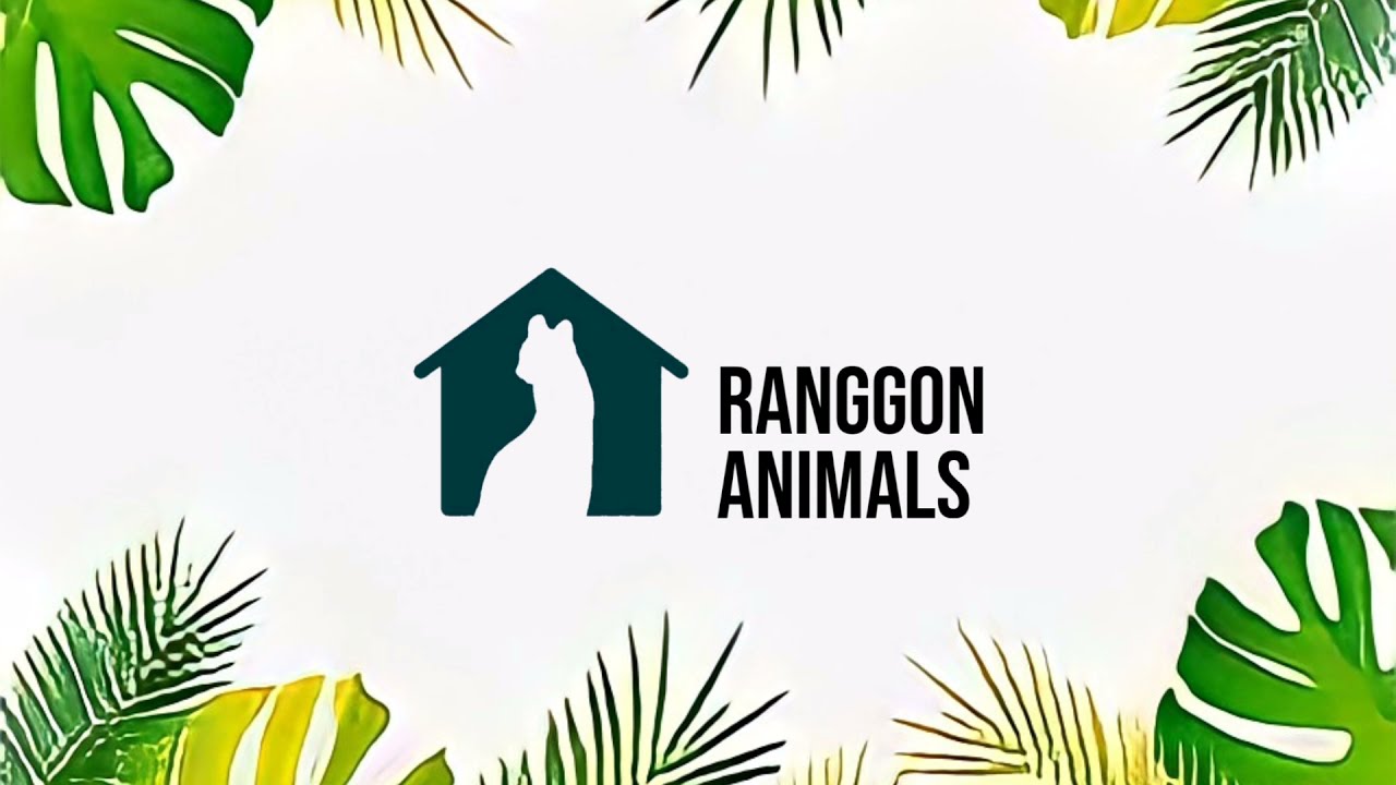 Opening of the ranggon animals