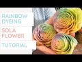 How to make a rainbow rose | wood flowers | dyeing tutorial