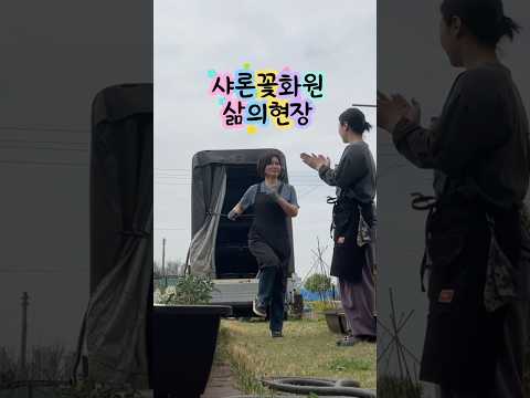 샤론꽃화원