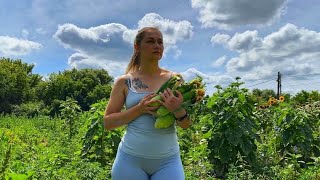 A Hot Day in the Village | Harvesting Corn and Home-Grown Watermelon, and Beating the Heat