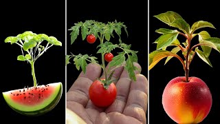 Plants Growing in Front of YOUR EYES - 1101 Days JUST 12 minutes