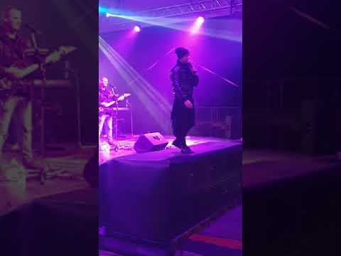 Vörösbor fesztivál 2019 Royal zenekar