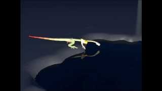lizard test animation 1