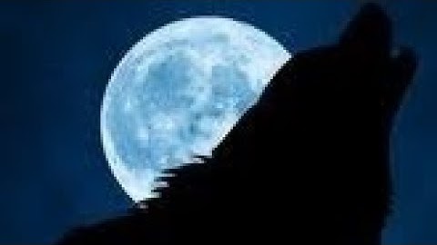 تلاوة تخطف القلب لسورة يوسف ش/مصطفى احمد توفيق 💝🤯#تلاوة_هادئة #تلاوات
