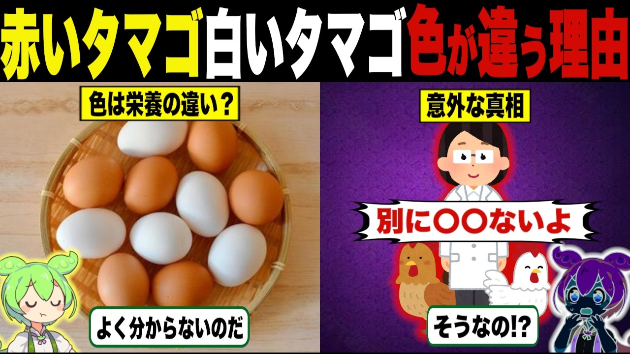 What's the difference between red eggs and white eggs? [Zundamon