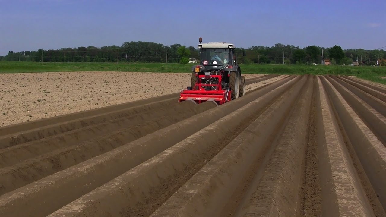 Potato Bed Vibro Former - Imac VRDB - Bankerica za krompir