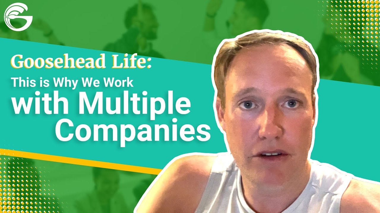 This is Why We Work with Multiple Companies | Goosehead Insurance | Mahoney Manhart Agency