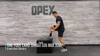 One Foot Land Single Leg Box Jump