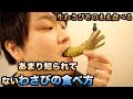 意外と知られてないわさびの食べ方