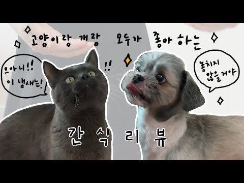 개와 고양이가 같이 먹는 치킨트릿 | 동결건조 | 마도로스펫 | 후추로그 | 4K