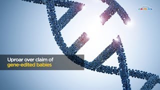Celebrity Gene editing Profile
