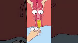 Menstrual Cup 😳 Why More Girls Are Switching NOW! #menstrualcup #periods #facts #animation #shorts