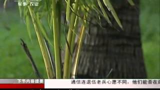 军事纪实 《军事纪实》 20111206 军营又响驼铃声④不与西沙说再见