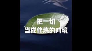 201810 把一切当成修炼的对境50801