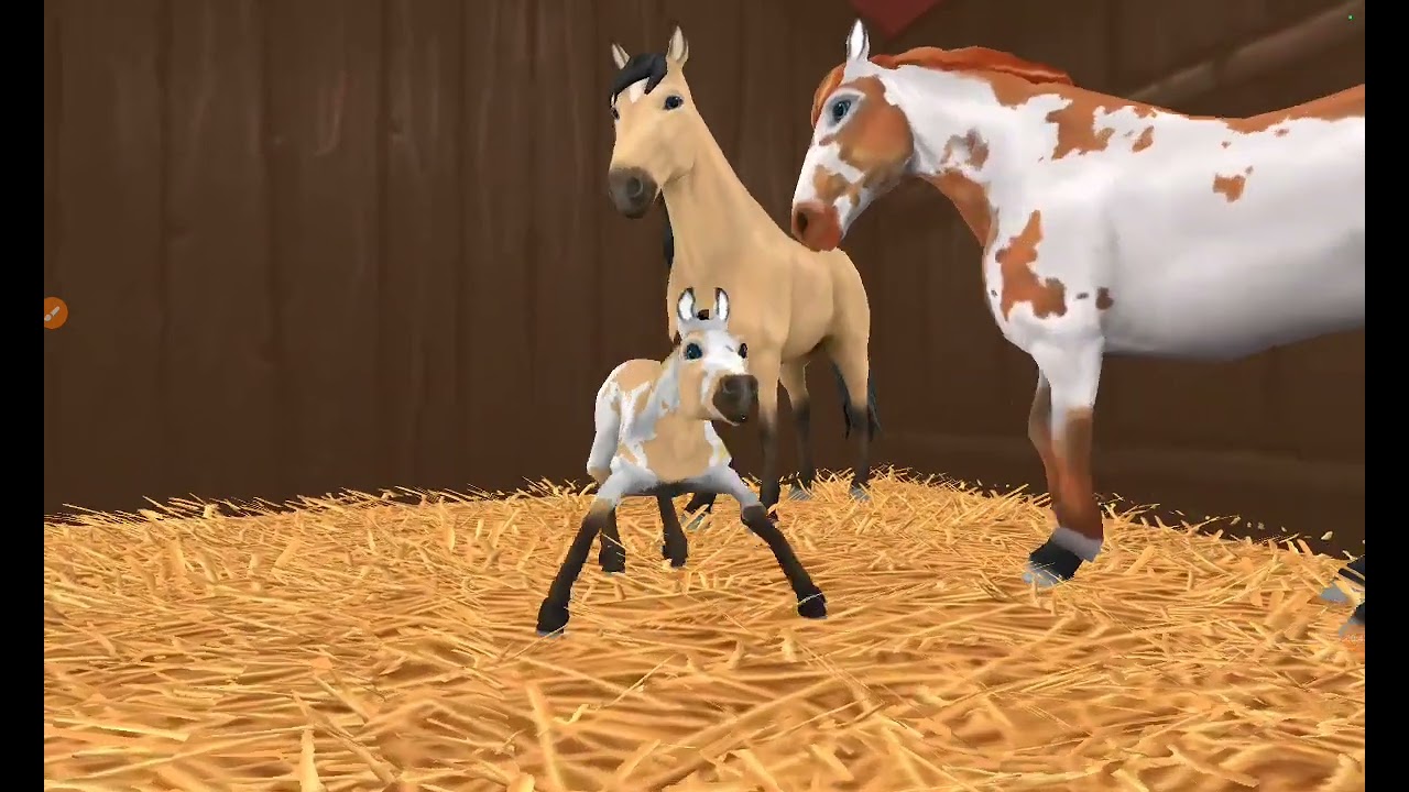 Breeding! Spirit + Amelia = ABIGAIL♡♡♡