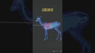 Another piebald roe deer taken out WITHOUT grinding! #cotw #thehunter #cotwclips #hunting #gaming