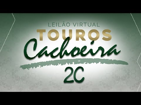 Lote 06 (2754/17  Cachoeira 2C - GCID 2754)