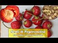 Semi di PEPERONCINO 🌶️: come RACCOGLIERE, trattare e CONSERVARE