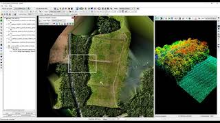 True View 3DIS Training Part 7: EVO Processing continued