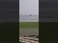 মনোরম দৃশ্য ll #viral #shorths #viralvideo #shortsvideo