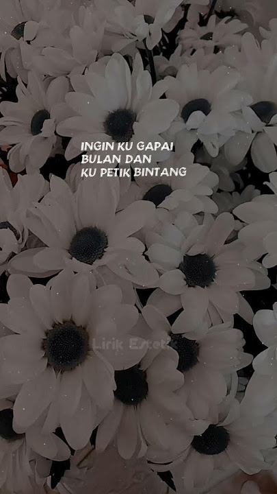 Tentang perasaanku#foryou #lirikestetik #liriklagu #musicindonesia #irwansyah