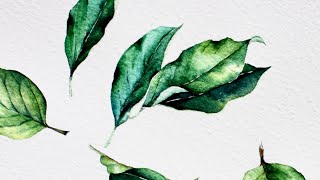 [베리현 수채화 ]초록잎 그리기| Watercolor painting | Watercolor flower | Watercolor tutorial green leaf 초보