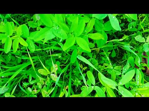 Nature In 10