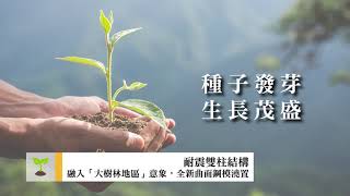 桃園市桃園區|延平路延伸至和平路道路新闢工程|橋梁工程|生態工法