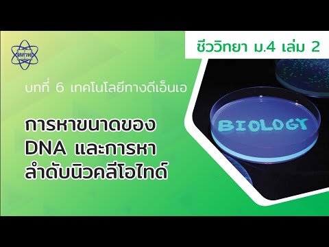 วีดีโอ: บันไดมาตรฐานขนาด DNA คืออะไร?