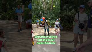 Have You Seen Goofy As A Birdwatcher?