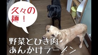 大型犬の手作り食：ひき肉と野菜のあんかけ麺