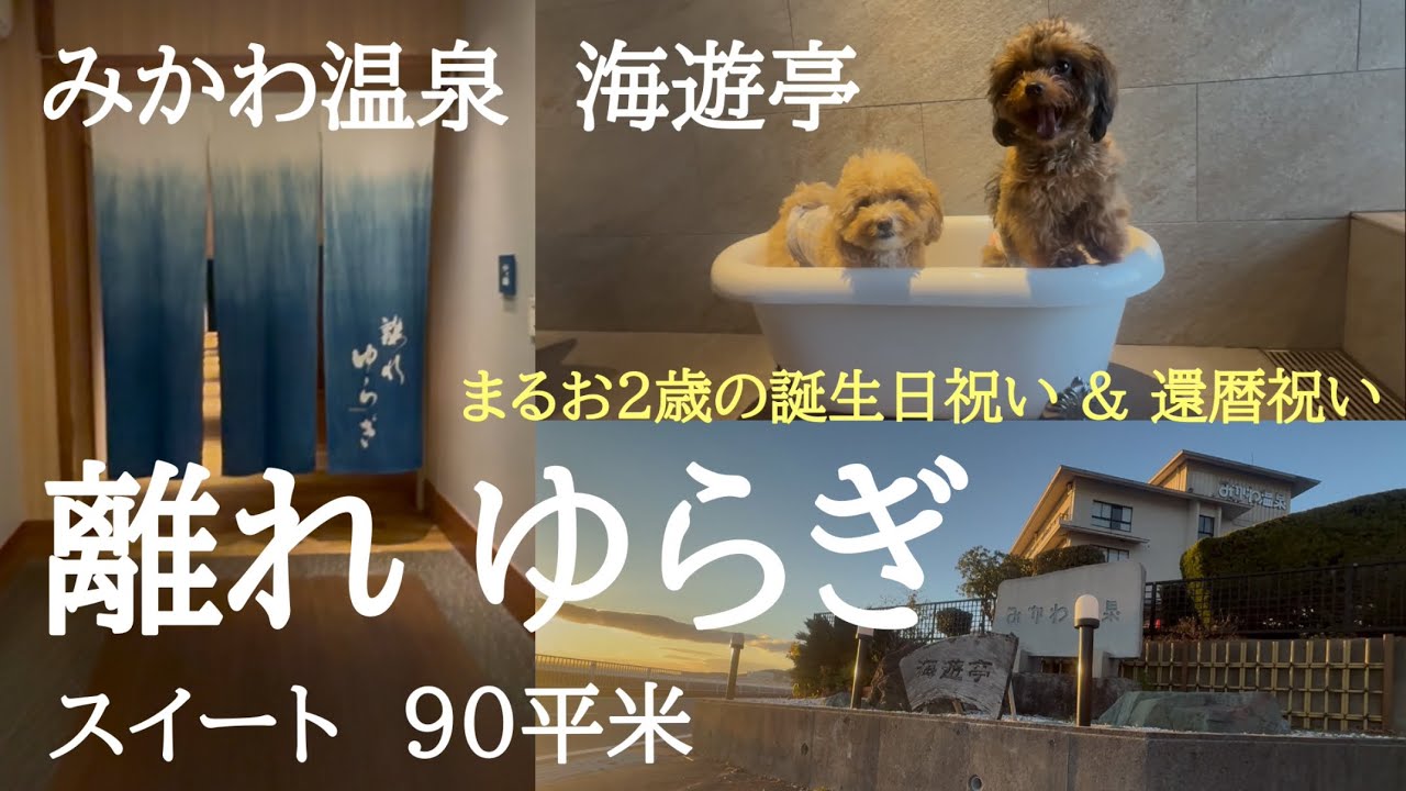 【犬と泊まれる宿で記念日祝い】離れゆらぎスイート（みかわ温泉 海遊亭）