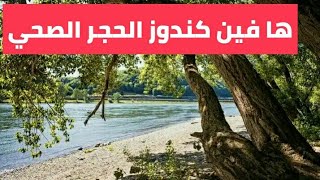 ها فين كندوز الحجر الصحي .. lhajr sihi