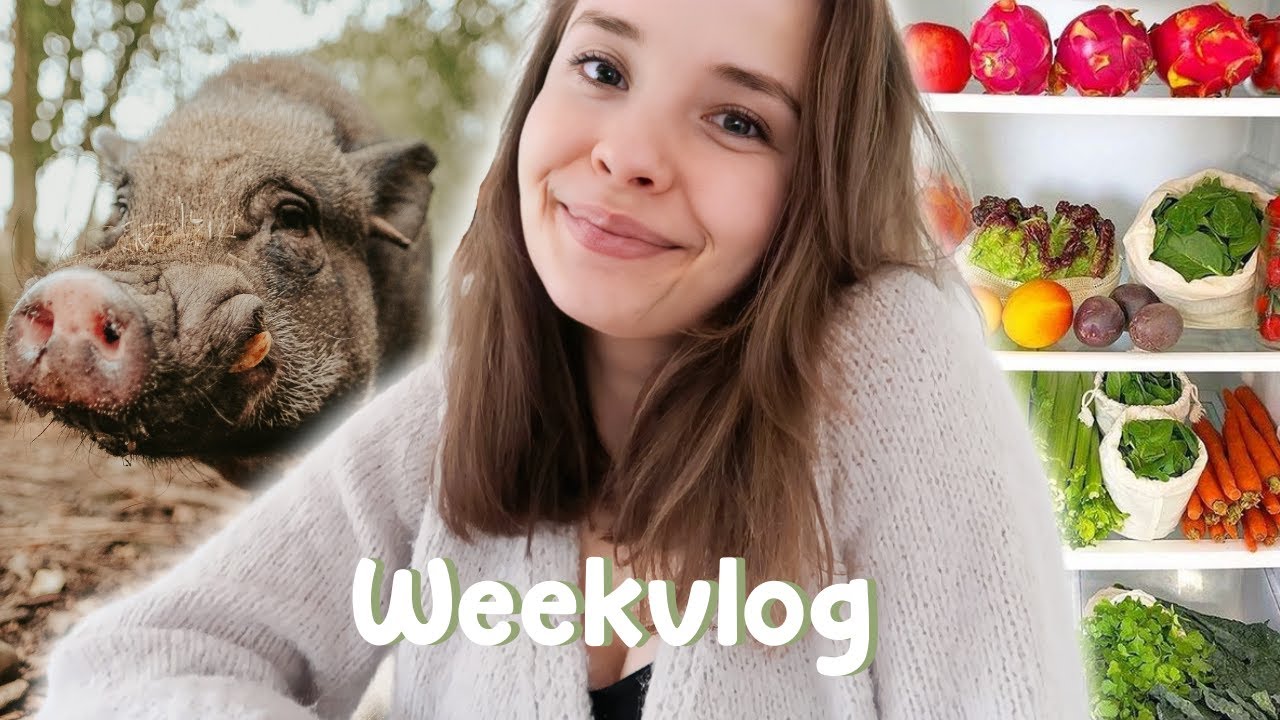 Naar de markt, nieuwe dieren & hooi levering | WEEKVLOG