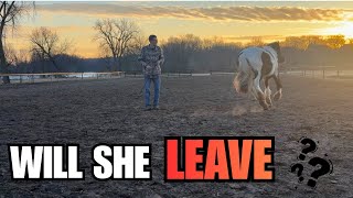 Download Lagu First Time at Liberty in the Outdoor Arena... I Wasn't Sure What She'd Do MP3